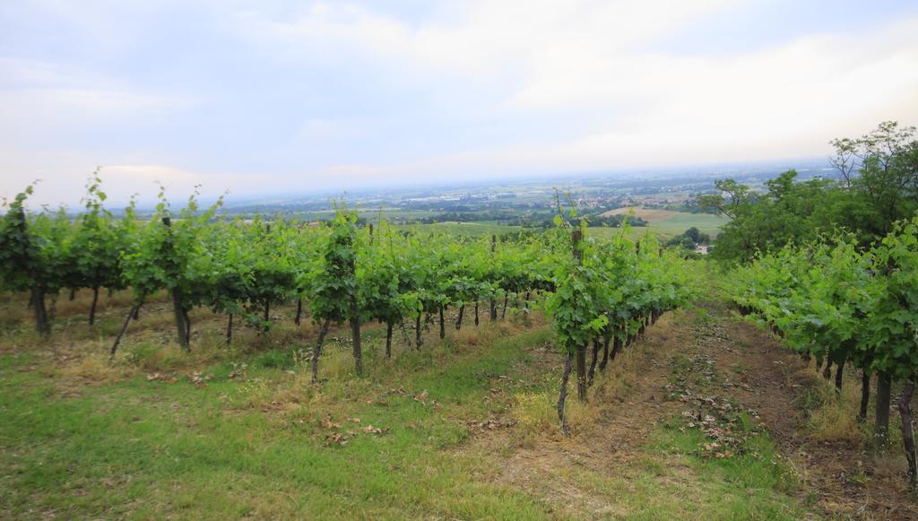 Agriturismo Gaggioli Borgo Delle Vigne Zola Predosa Exterior foto
