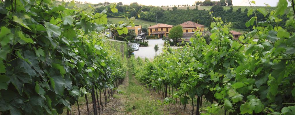 Agriturismo Gaggioli Borgo Delle Vigne Zola Predosa Exterior foto